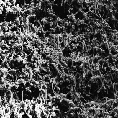 NECROPOLISSEBEHT - Taurunovem - Th’Astraktyan Serfdome A5 DigiPak